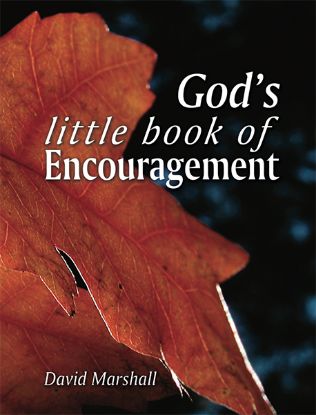 Picture of God’s Little Book of Encouragement